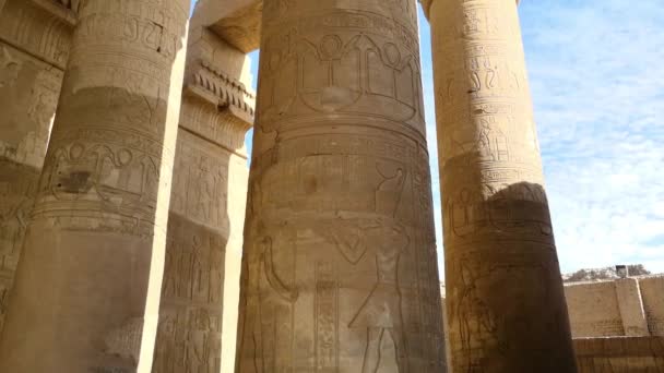 Ramesseum Minnesmärke Tempel Farao Ramses Xiii Talet Del Theban Necropolis — Stockvideo