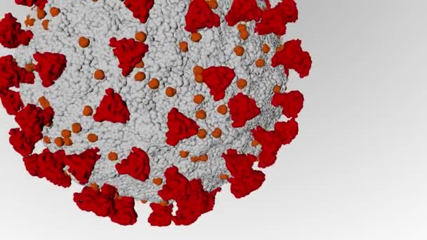 Animasyon Coronavirus Modeli Covid Görüntüleme — Stok video