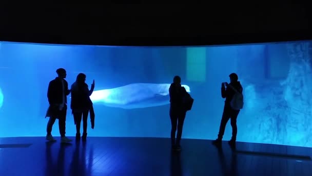 Valencia, Spain - January 2019: Visitors view the sea fish in the Okaenarium underwater tunnel — Stock Video