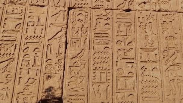 Ancient Egyptian writing, Egyptian hieroglyphs, wall inscriptions — Stock Video