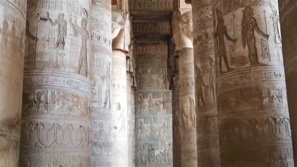 Prachtig Interieur Van Tempel Van Dendera Tempel Van Hathor Egypte — Stockvideo