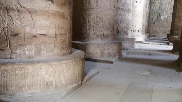 Hermoso Interior Del Templo Dendera Templo Hathor Egipto Dendera Antiguo — Vídeo de stock