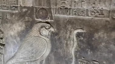 Güzel Dendera Tapınağı 'nın kalıntıları, Mısır hiyeroglifleri, duvar yazıtları.
