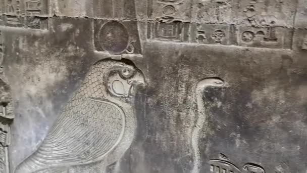 Ruinerna Det Vackra Templet Dendera Egyptiska Hieroglyfer Vägginskriptioner — Stockvideo