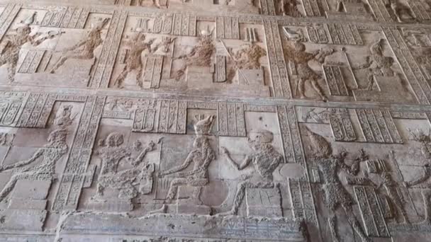 Wunderschönes Interieur des Tempels von Dendera oder des Tempels der Hathor. Ägypten, Dendera, altägyptischer Tempel in der Nähe der Stadt Ken. — Stockvideo