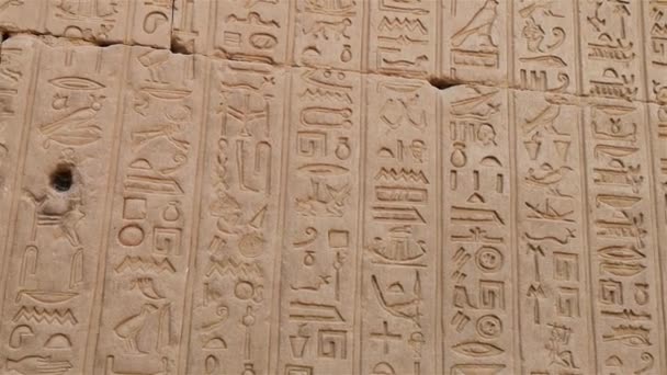 Ancient Egyptian writing, Egyptian hieroglyphs, wall inscriptions — Stock Video