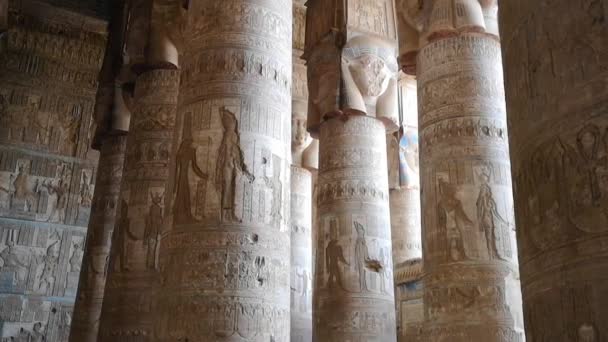 Prachtig Interieur Van Tempel Van Dendera Tempel Van Hathor Egypte — Stockvideo