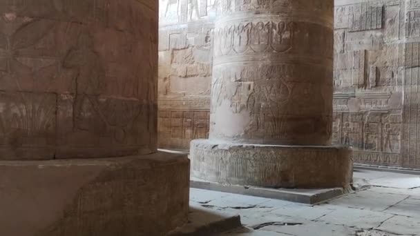 Bellissimo Interno Del Tempio Dendera Del Tempio Hathor Egitto Dendera — Video Stock