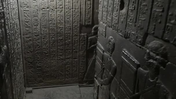 Prachtig Interieur Van Tempel Van Dendera Tempel Van Hathor Egypte — Stockvideo