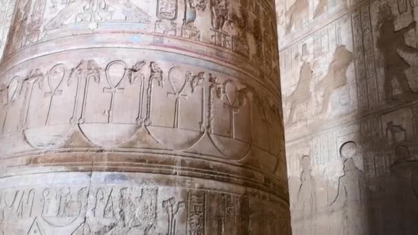 Piękne Wnętrze Świątyni Dendera Lub Świątyni Hathor Egipt Dendera Starożytna — Wideo stockowe