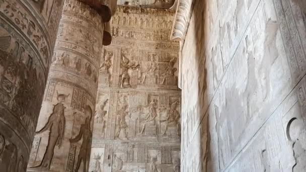 丹德拉神殿或哈托尔神殿美丽的内部。埃及，登德拉，靠近肯城的古埃及庙宇. — 图库视频影像