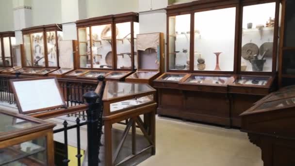 El Cairo, Egipto - Enero 2020: recorrido por las antigüedades en el antiguo Museo del Cairo. El Cairo, Egipto — Vídeo de stock