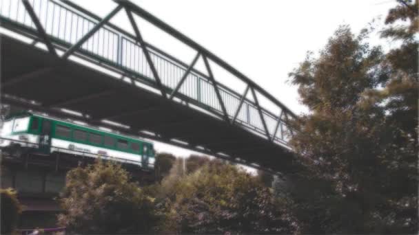 De brug op de rivier — Stockvideo