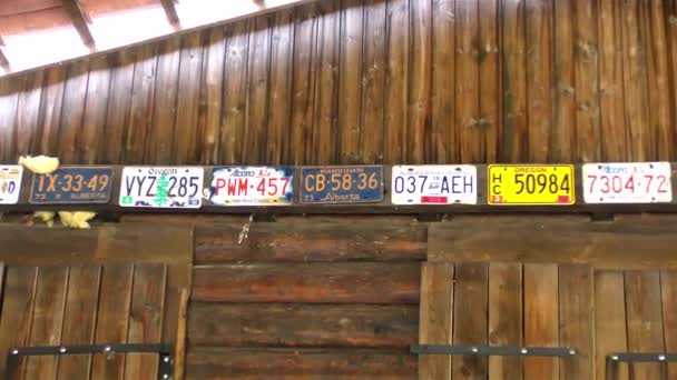 Old license plates — Stock Video