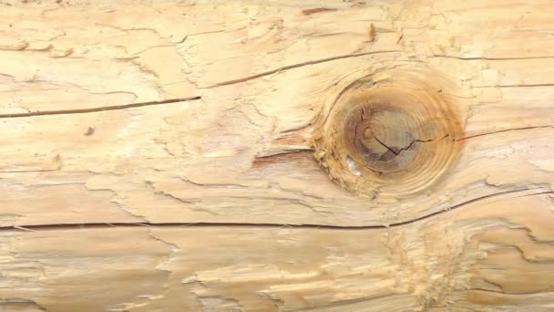Texturu dřeva Uhd 2160 4 k — Stock video