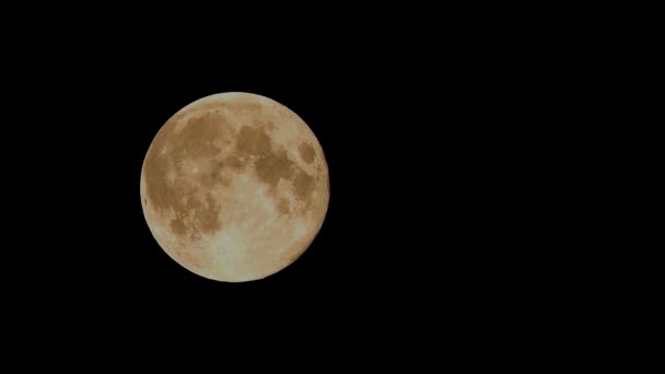 Volledige Golden Moon - time-lapse, beweging — Stockvideo