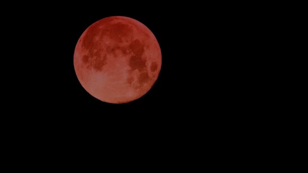 Pełnym kolorze czerwonym Moon - time-lapse, ruchu — Wideo stockowe