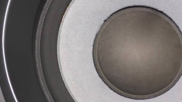 Ljud högtalare - bas ljud högtalare subwoofer, 150w Rms, Hi-Fi Pro — Stockvideo