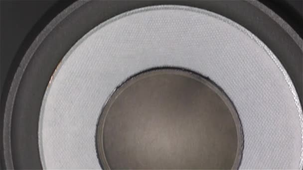 Ljud högtalare - bas ljud högtalare subwoofer, 150w Rms, Hi-Fi Pro — Stockvideo
