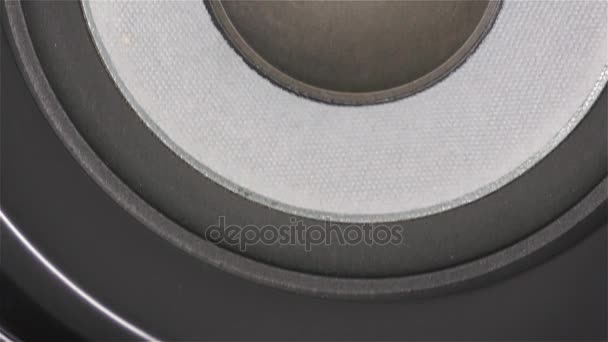 听演讲嘉宾-低音音频扬声器低音炮，150w Rms，高保真临 — 图库视频影像