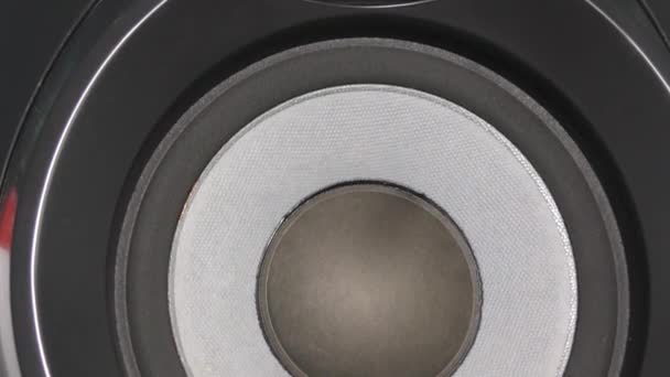 Dźwięk z głośników - Audio głośnik basowy subwoofera, 150w Rms, Hi-Fi Pro — Wideo stockowe