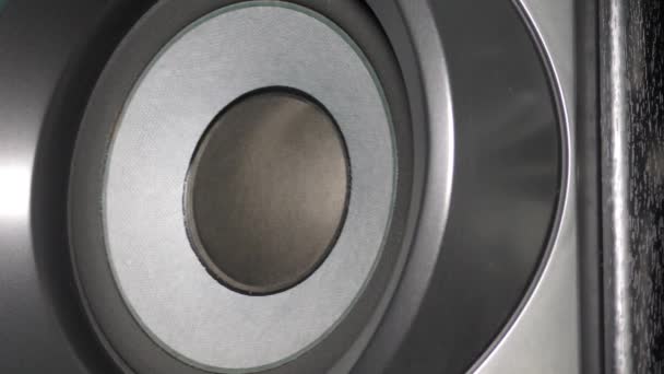 Lautsprecher - Subwoofer-Basslautsprecher, 150W rms, Hi-Fi pro — Stockvideo