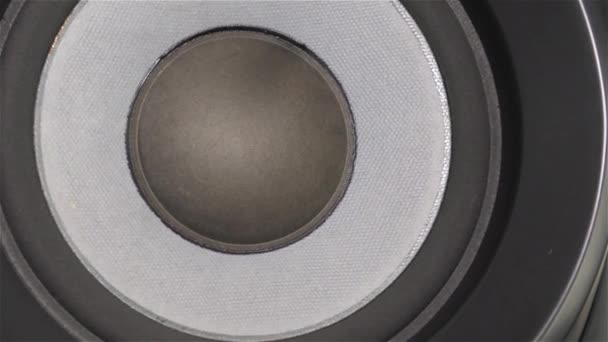 Geluid van luidspreker - Bass Audio Speaker sub woofer, 150w Rms, Hi-Fi Pro — Stockvideo