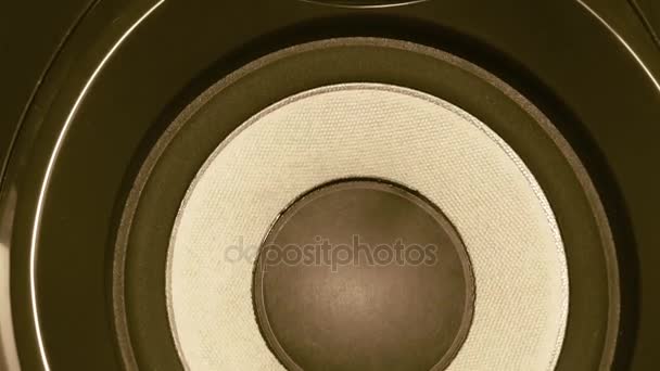 Dźwięk z głośników - Audio głośnik basowy subwoofera, 150w Rms, Hi-Fi Pro — Wideo stockowe