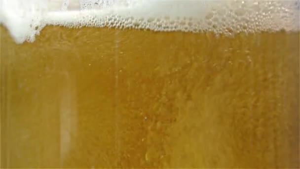 Ελαφριά μπύρα χύνεται σε ένα ποτήρι — Αρχείο Βίντεο