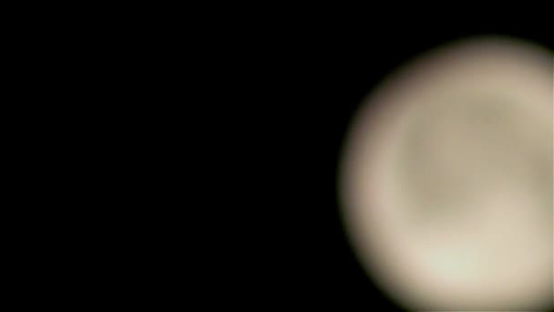 Pauză de lună plină, detalii — Videoclip de stoc