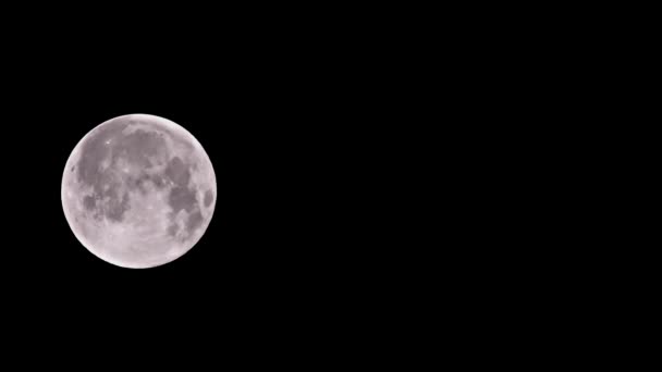 Temps de pleine lune, détail — Video