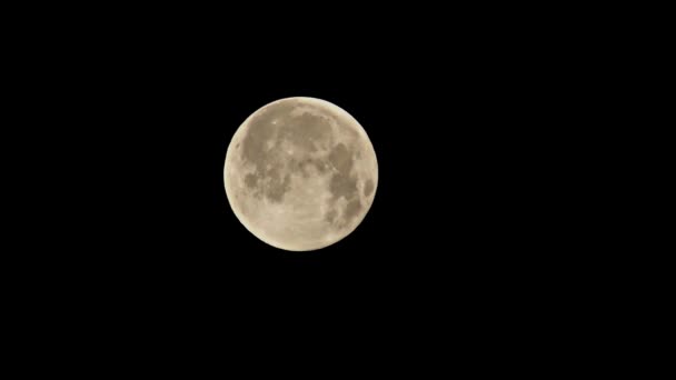 Tempo di luna piena, dettaglio — Video Stock