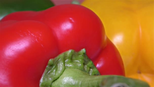 Roter, grüner und gelber Paprika in Nahaufnahme, Detail, Makro — Stockvideo