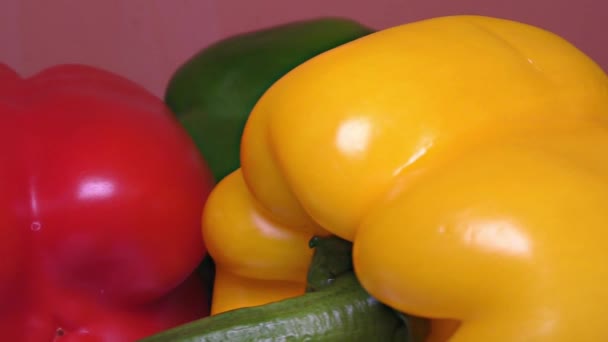 Paprika vermelha, verde e amarela imagens grande plano, detalhe, macro — Vídeo de Stock