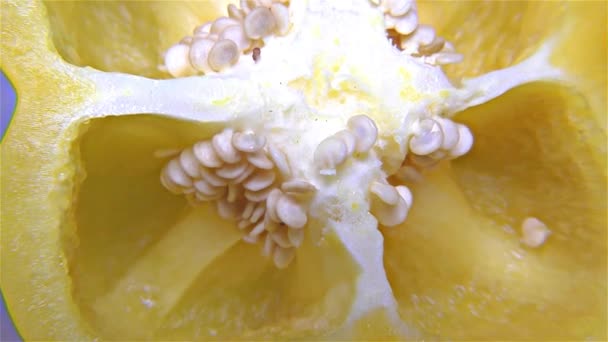 Yellow Paprika  Close Up, Detail, Macro — Stock Video