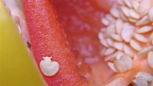 Červená a žlutá Paprika zavřít nahoru, Detail, makro — Stock video