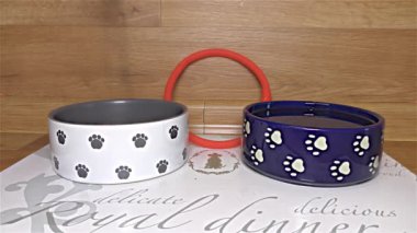 Kuru Köpek Gıda beyaz ve mavi seramik köpekler kase - ayrıntı, makroyu oluşturan, yakın