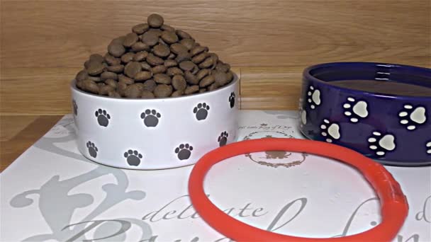 Comida para perros seca White and Blue Ceramic Dogs Bowl - detalle, de cerca, macro — Vídeos de Stock