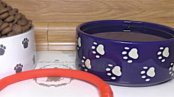 Сухие Собака продовольствия белый и голубой керамической миске собак - деталь, крупным планом, макро — стоковое видео
