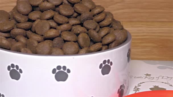 Dry Dog Food White and Blue Ceramic Dogs Bowl - dettaglio, primo piano, macro — Video Stock