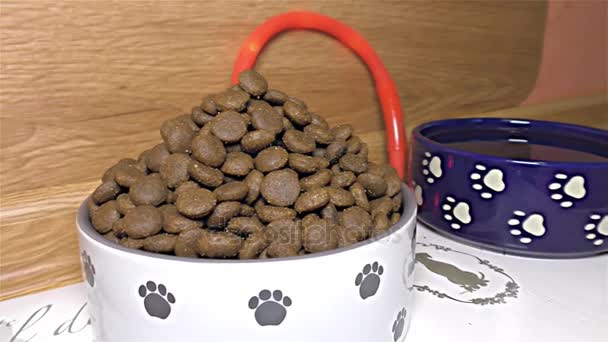 Dry Dog Food White and Blue Ceramic Dogs Bowl - detalhe, close, macro — Vídeo de Stock