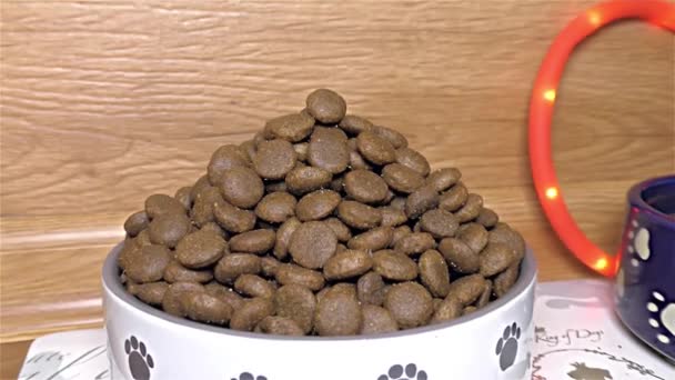 Suchý pes potravin bílá a modrá keramická psi mísa - detail, zblízka, makro — Stock video