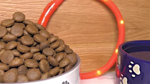 Droog de hond voedsel wit en blauw keramische honden Bowl - detail, close-up, macro — Stockvideo