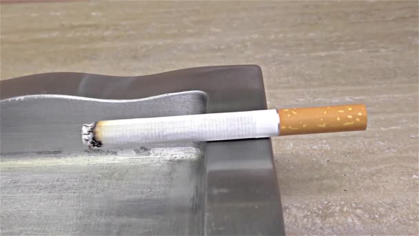 Brûlure Cigarette Sur Cendrier Gros Plan Détail Macro — Video