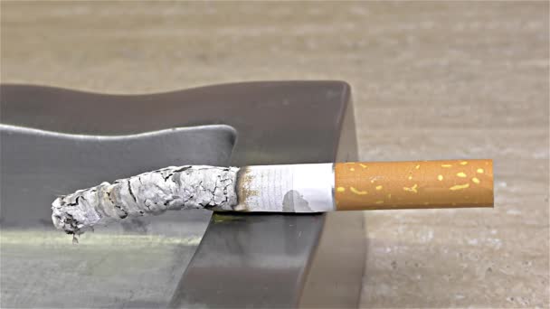Quemadura Cigarrillos Cenicero Primer Plano Detalle Macro — Vídeos de Stock