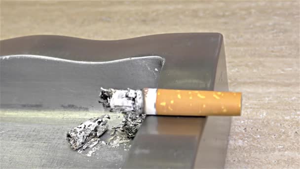 Cigarette Burning Ashtray Close Detail Macro — Stock Video