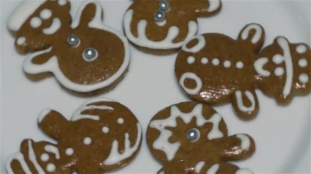 Christmas Cookies Peperkoek Homemade Christmas Cookies — Stockvideo