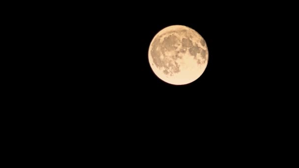 Luna Piena Nuvole Time Lapse Dettaglio — Video Stock