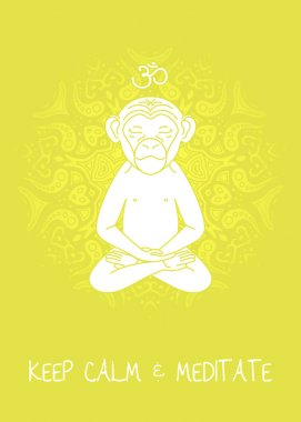 Meditatif hayvan serisi