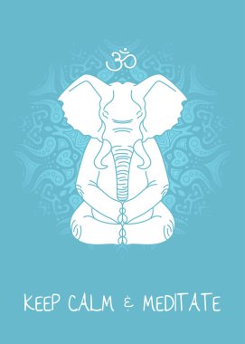 Meditatif hayvan serisi
